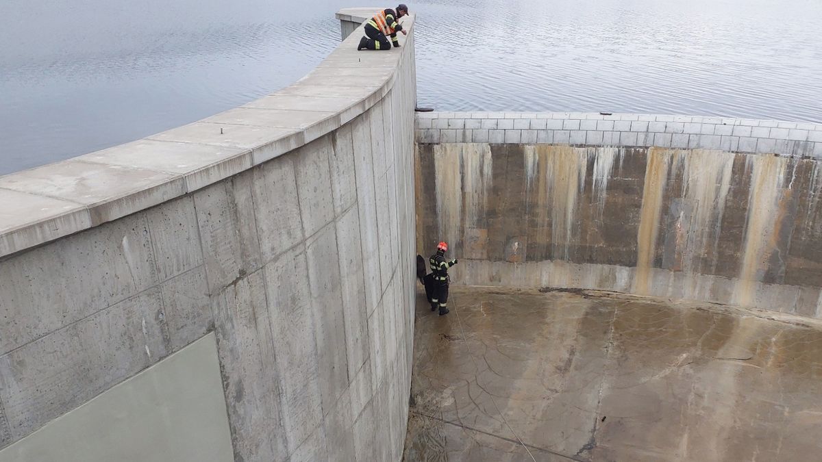 Bobr obhlížel hráz boskovické přehrady, skončil v bezpečnostním přelivu